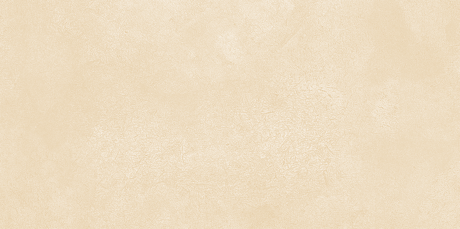 WT9PET11 Petra Beige 24.9х50 AltaCera