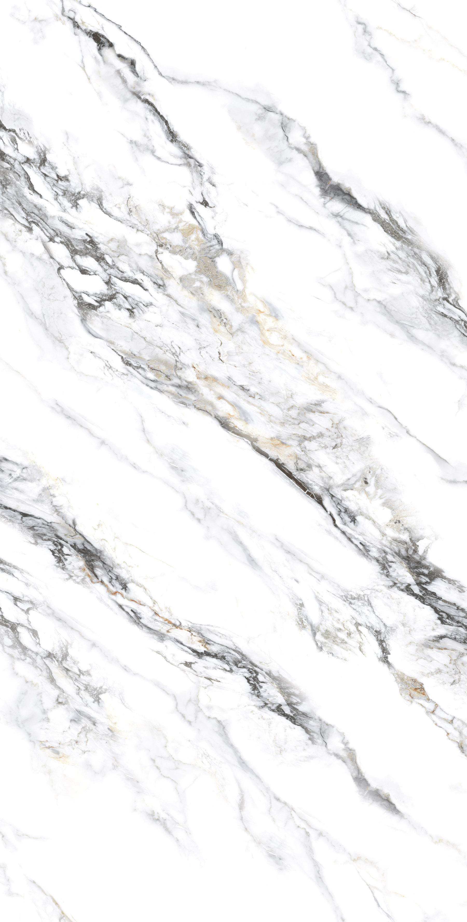 BS1003-A Lucido White Baby Satin Carving 60x120 Creanza фото 5