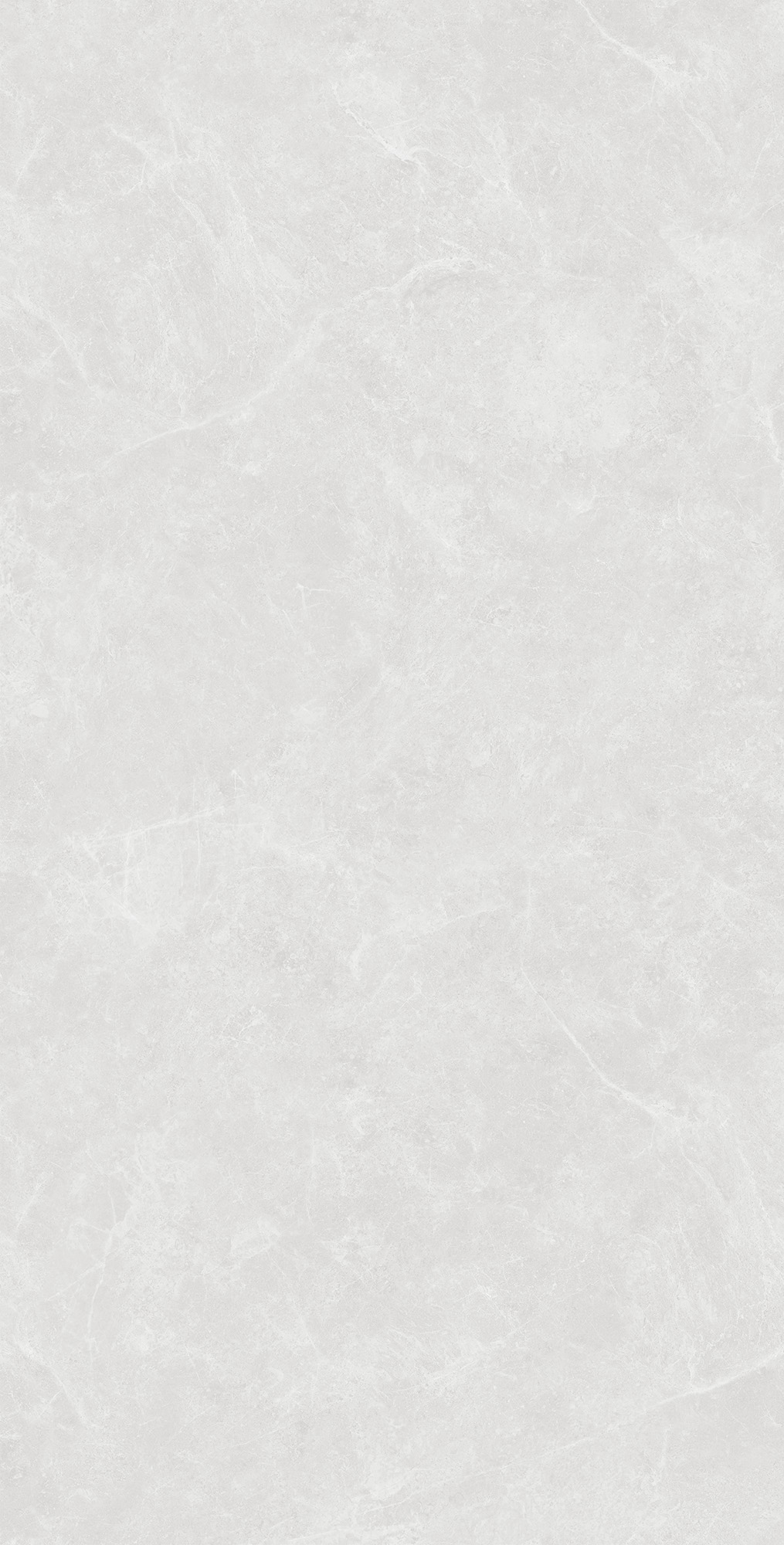 SL1003-A Oviedo Silver Solido 60x120 Creanza