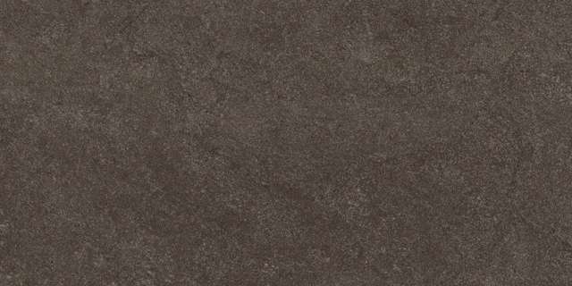 Thar Wood 60x120 Colortile