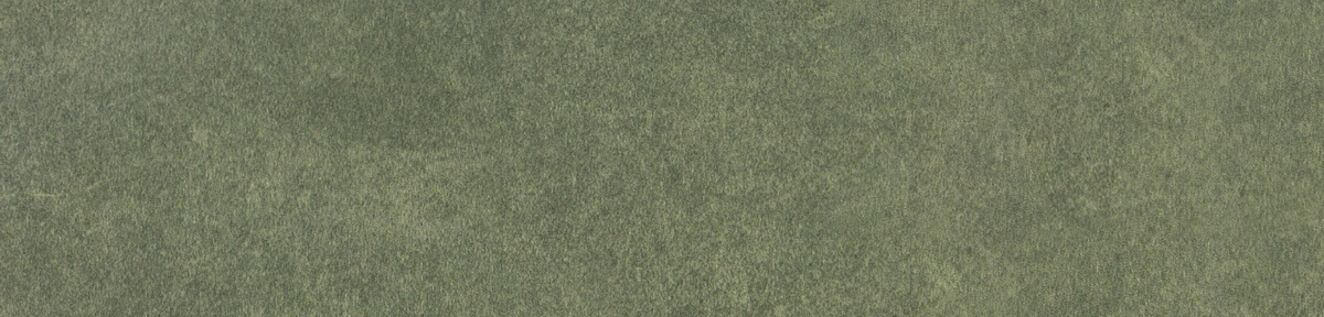 Levels Forest Glossy 6x25 Motto