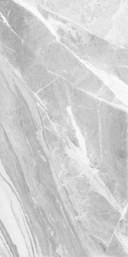 GT1206019501MDGR Mumbai Серый матовый 60x120 Global Tile