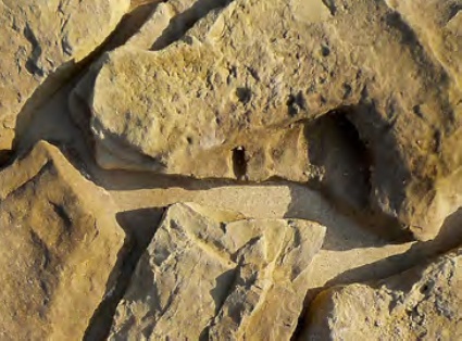 Дакота 15-05 рядовая 200-500х100-340х20-50 (вариативный размер) Ecostone