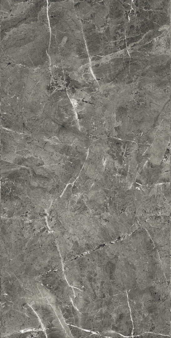 FP1028-A Florencia Grey Full Polished 60x120 Arcadia Ceramica