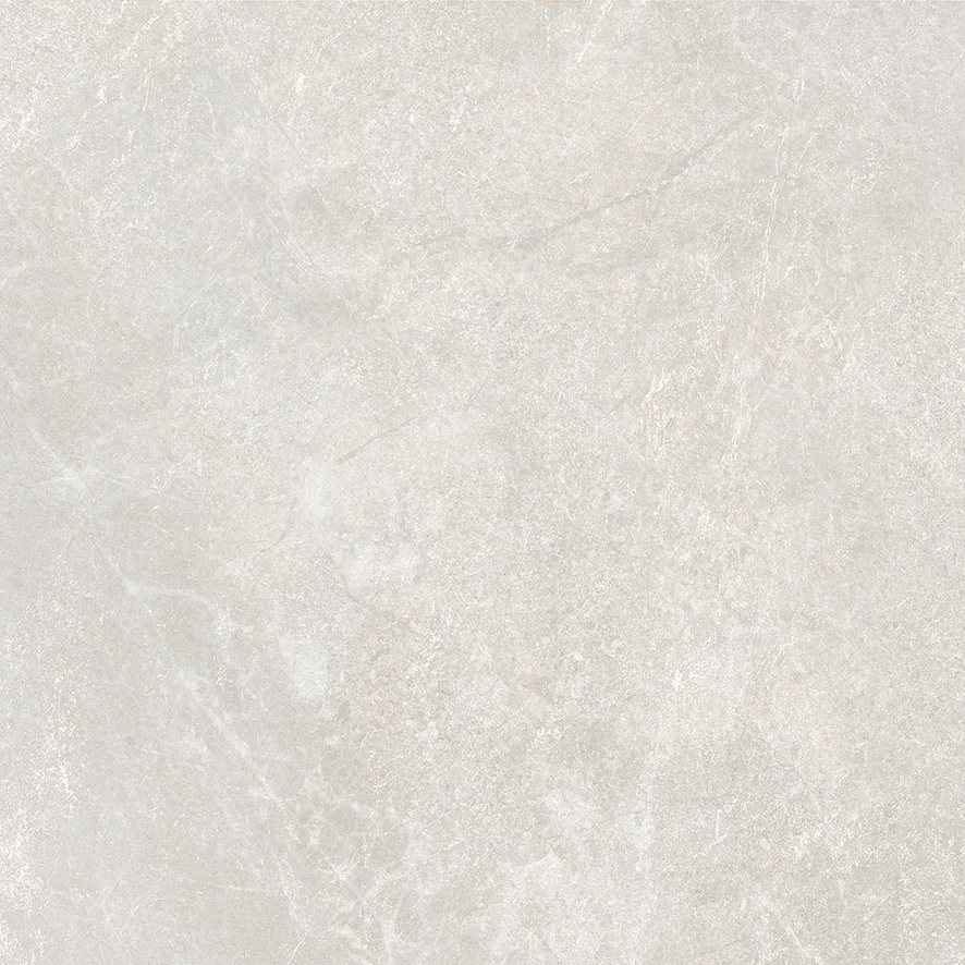Rocky Bianco PRO светло-серый матовый R10GR 60х60 Laparet