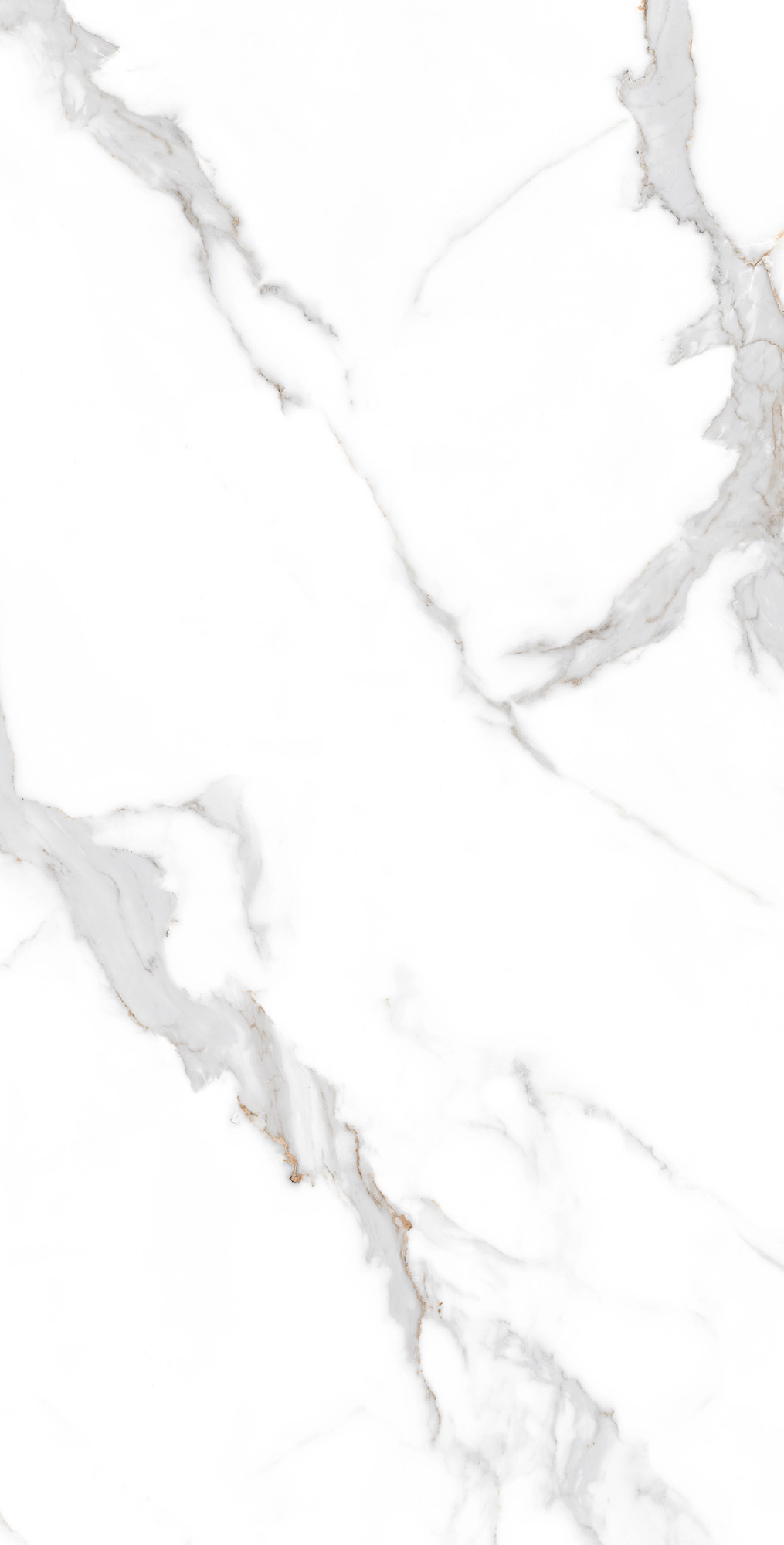 CP4001-A Statuario Seville Carving Pro 60x120 Arcadia Ceramica