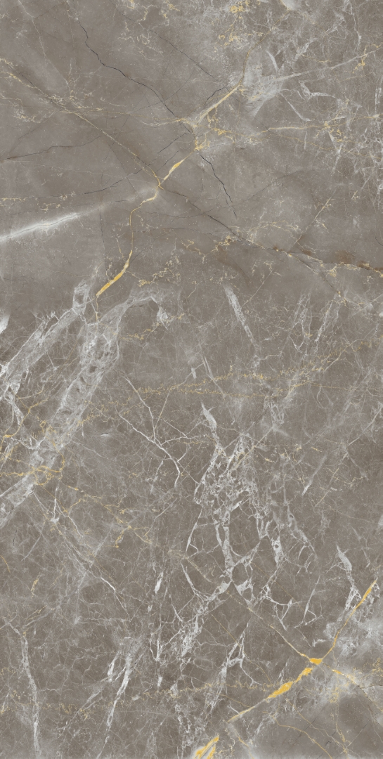 Zanetta Graphite Glossy 60x120 Modern Tile