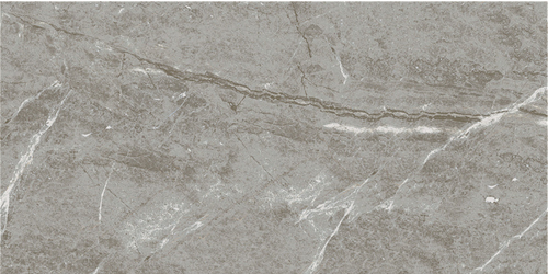 60-120CBP5696CM Breccia marengo POL 120x60 BODE