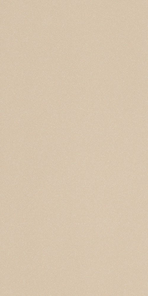 ICON ALMOND 12L 60x120 LEONARDO 1502