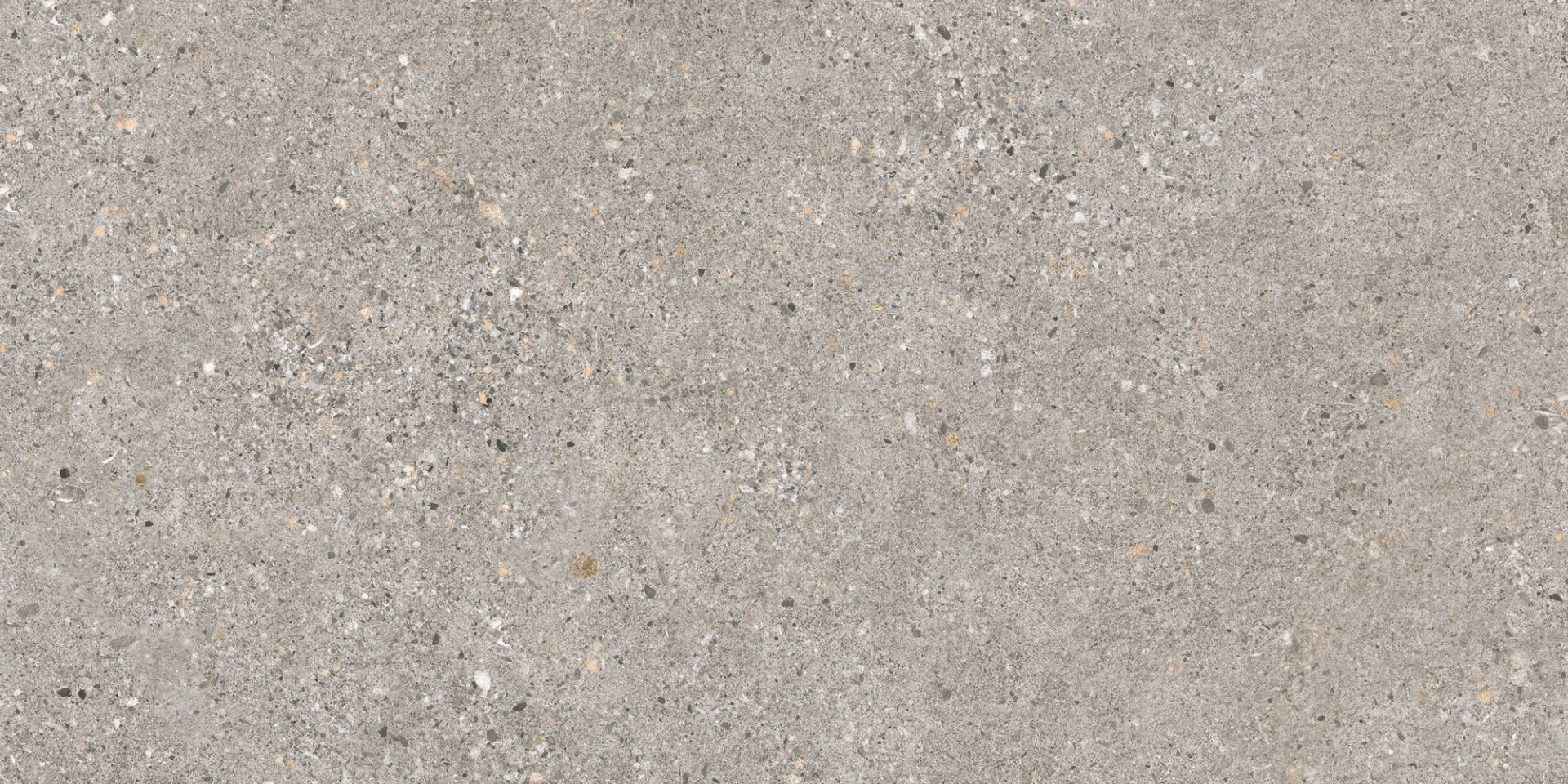 36908 Manhattan Grey/50X100X2/A/R 50x100 Peronda фото 4