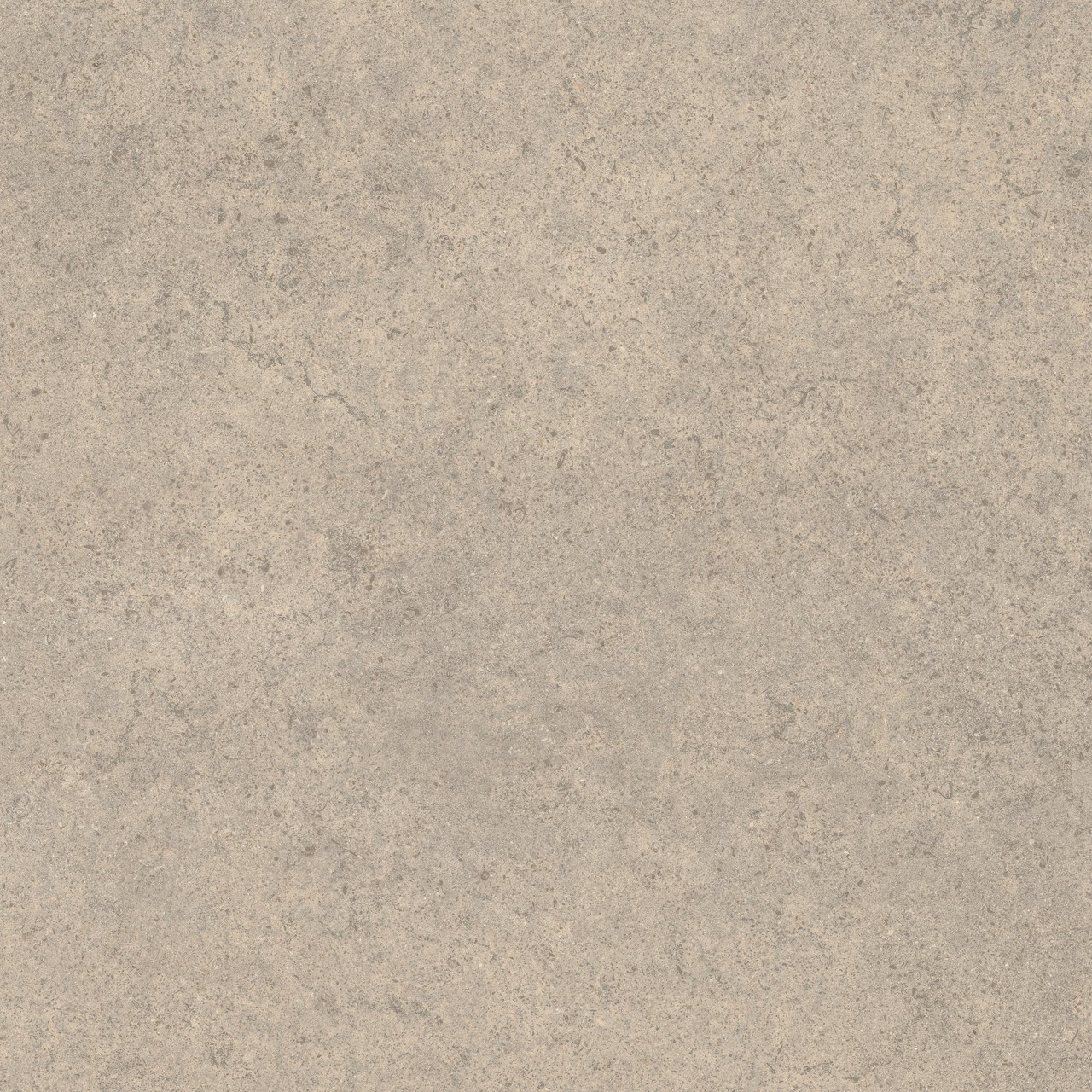 600010002428 Forte dei Marmi Rock Moleanos Cream Matt Rett 120x120 Atlas Concorde Russia