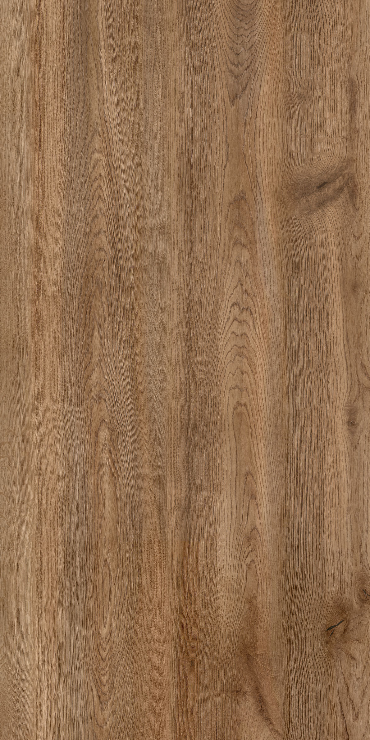 GT1206022504MCR Hispanica Коричневый 60x120 Global Tile фото 2