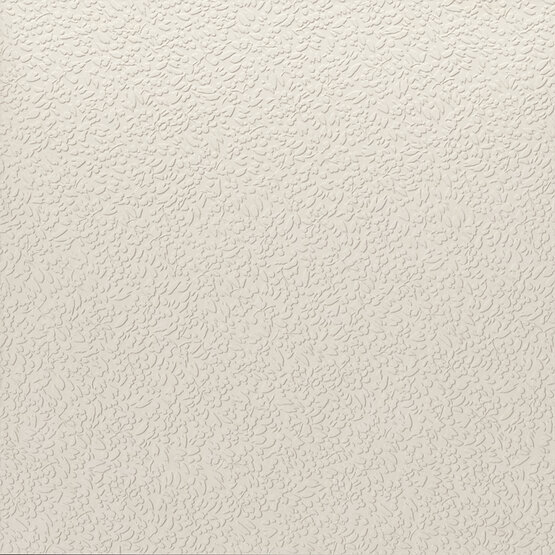 A037713 Nisus Neve Rect 60х60 Ape Ceramica