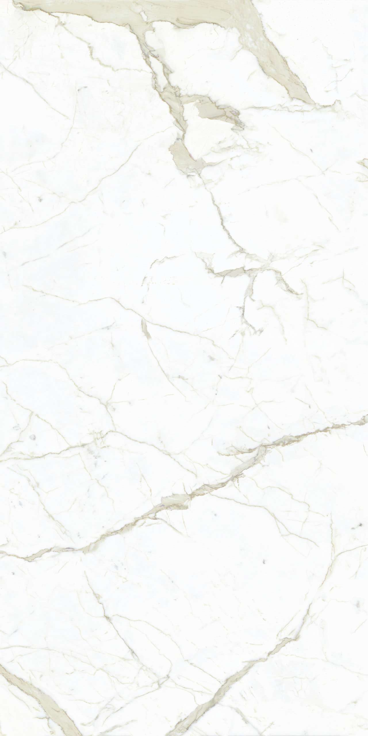 LU628389 Calacatta White Lucido 8mm 60x120 IRIS FMG