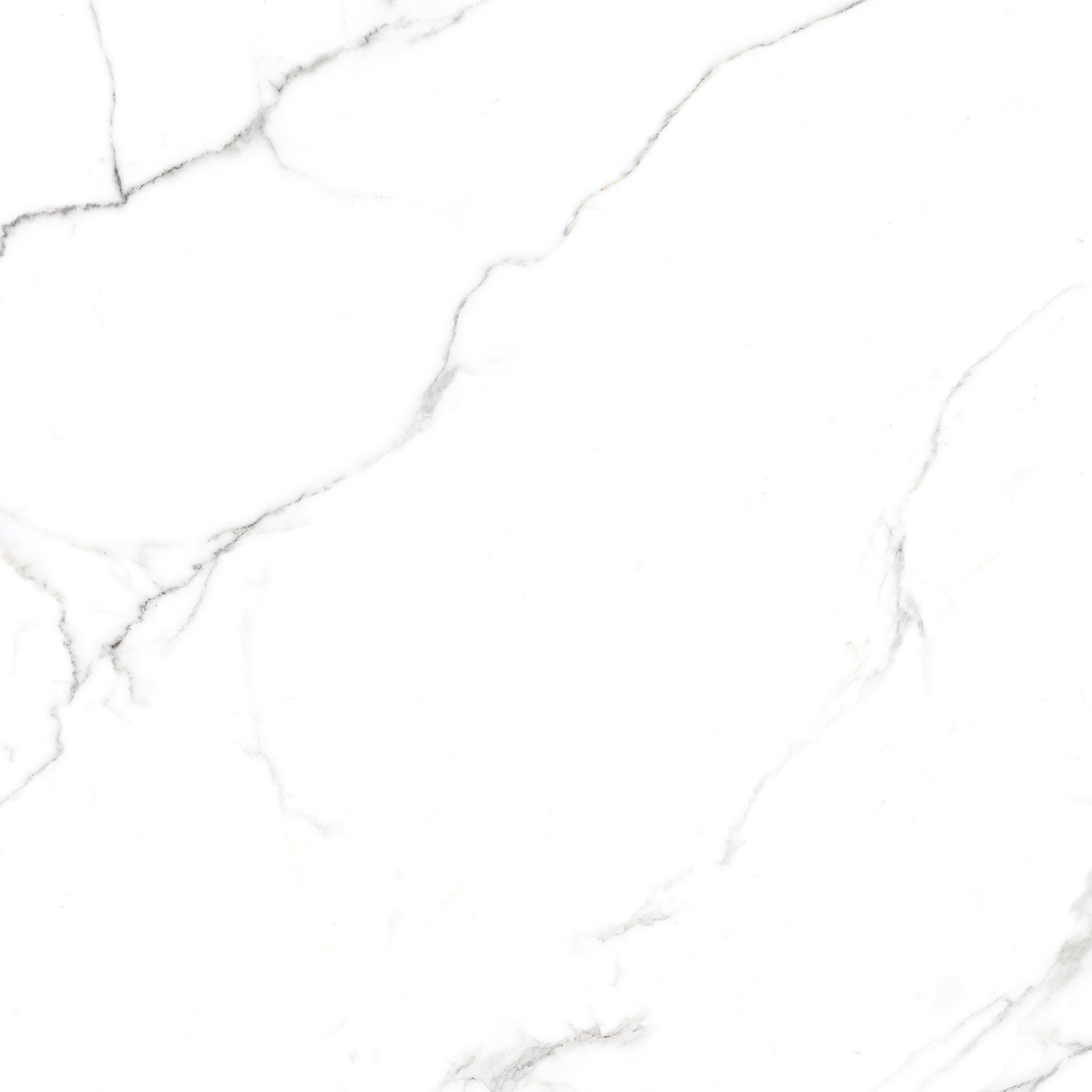 Сlassic Statuario PGVT 60x60 Casati Ceramica