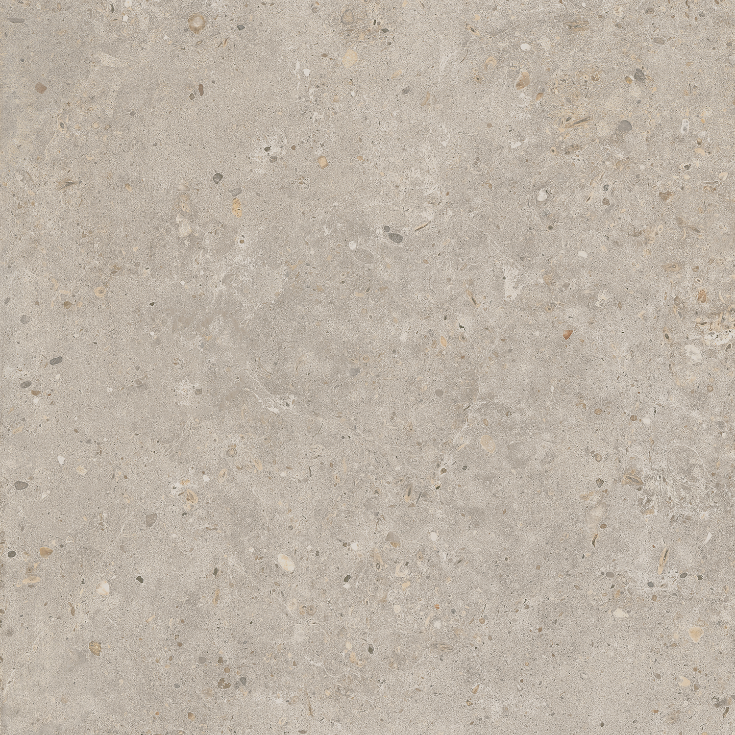 SG653820R Риккарди бежевый матовый обрезной 60x60 Kerama Marazzi фото 2