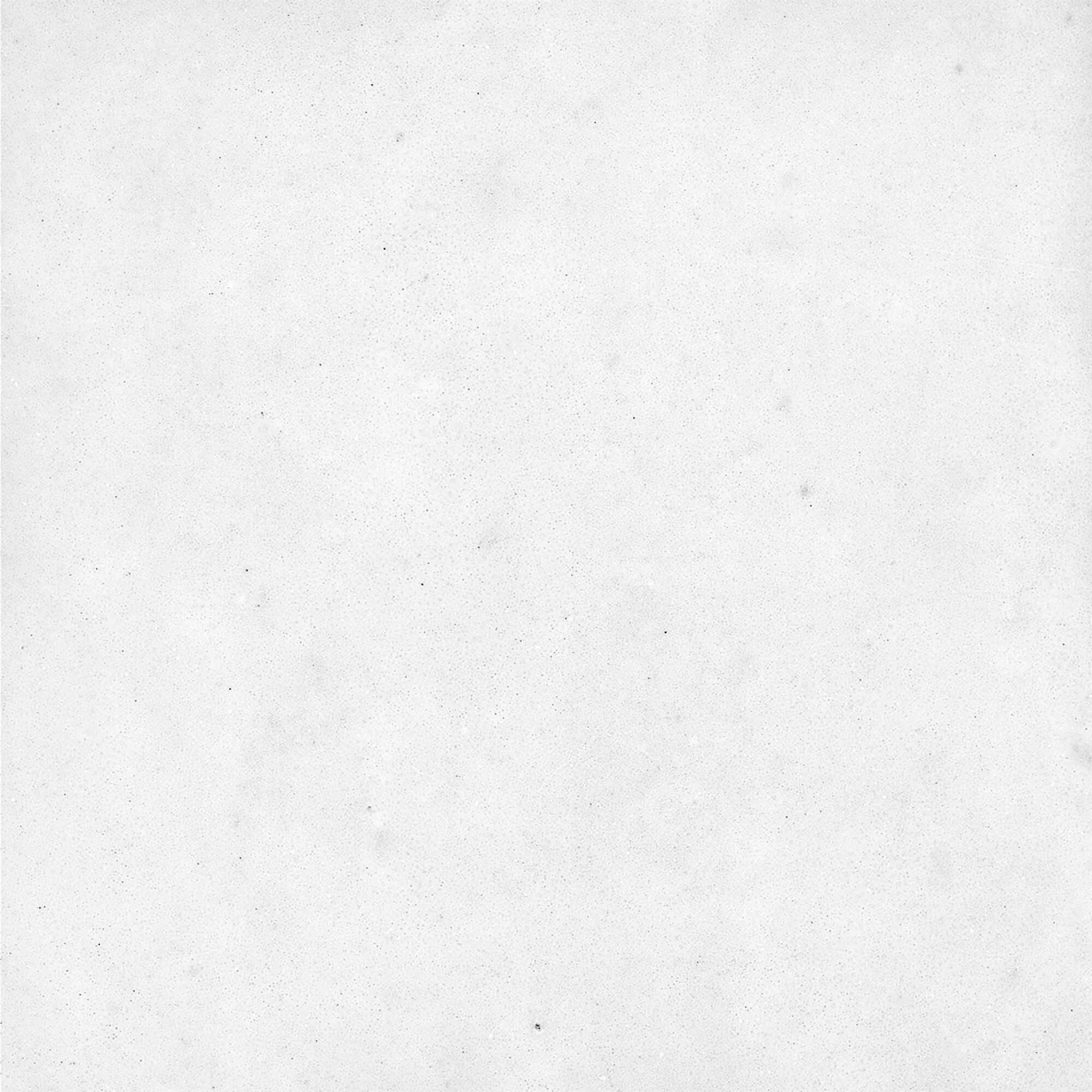 43294 Samira White 10x10 Harmony фото 15