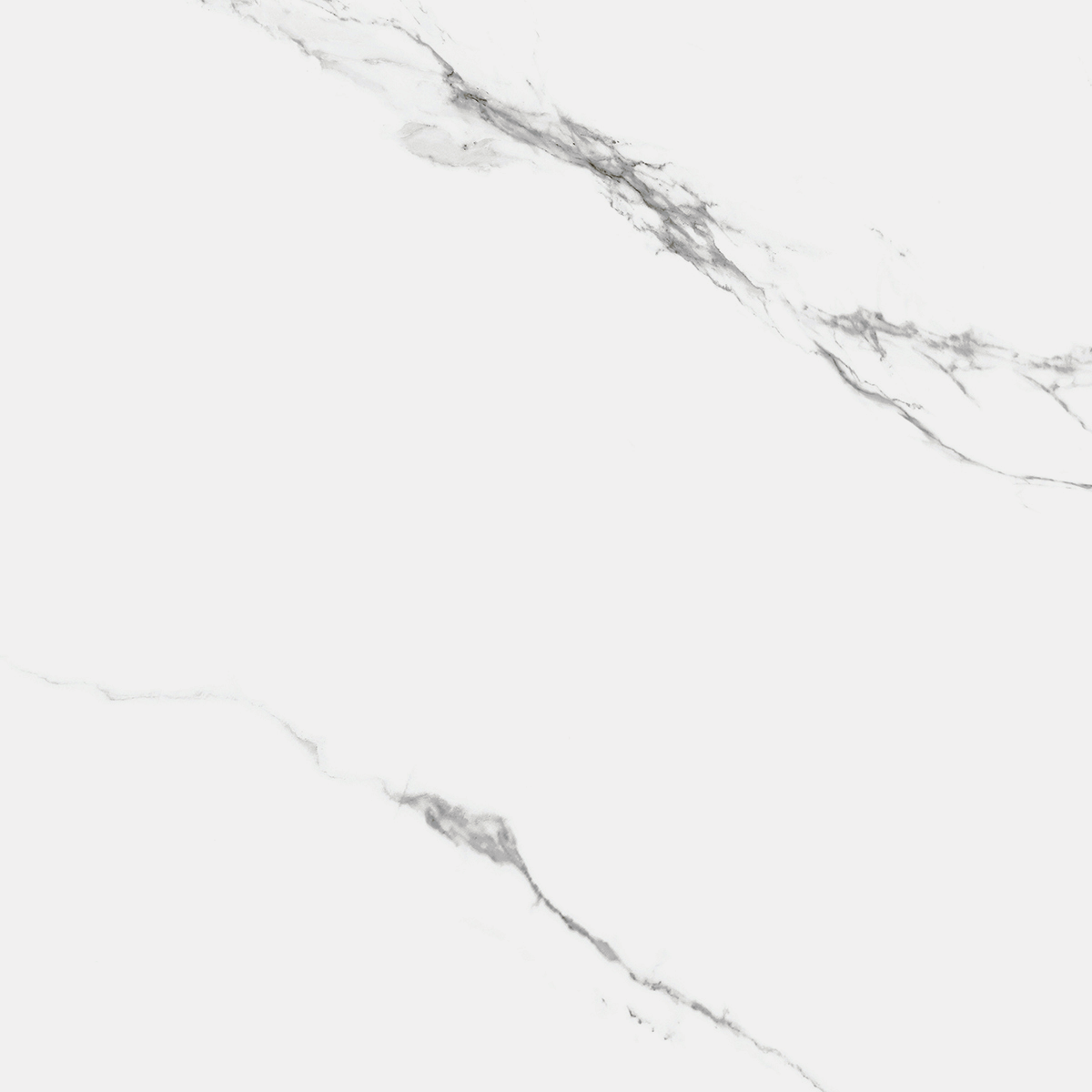 R_NR1002 Carrara Marmo Matt 60x60 Royce