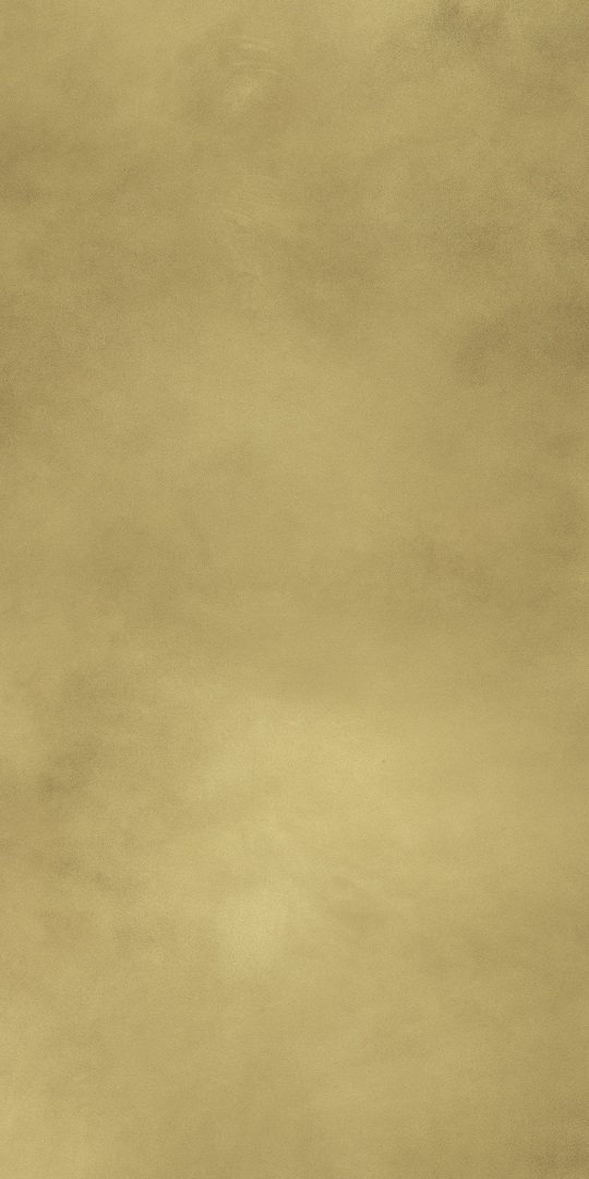610015000645 Continuum Brass Gold Lap 80x160 Italon