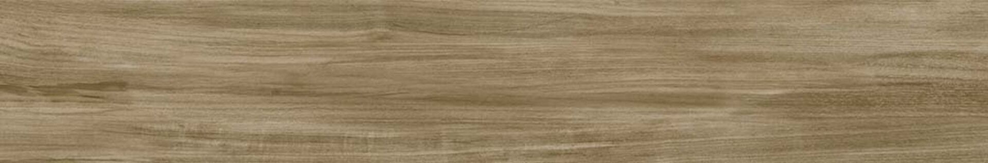 Alessandria Camel 19.5x120 Prissmacer