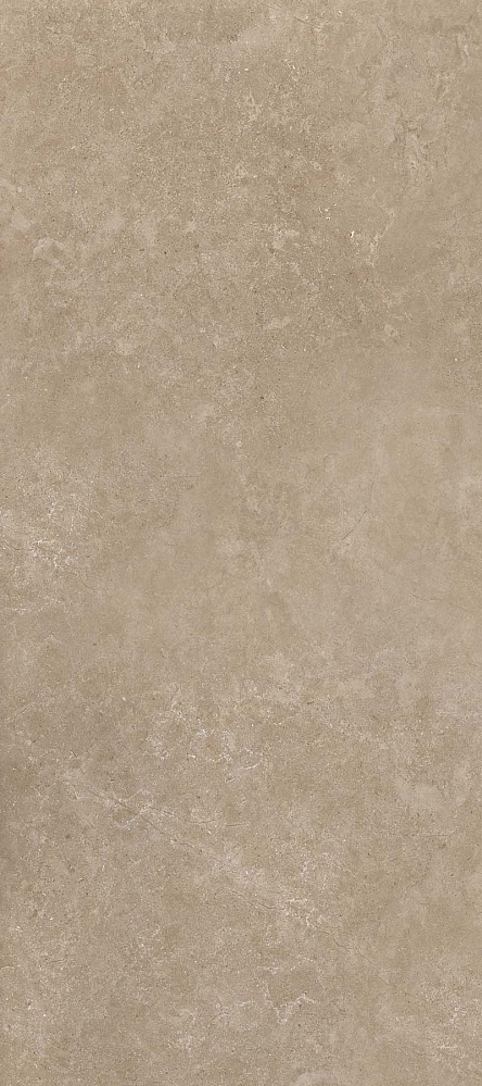 11022 Shell BG 60х120 Creto