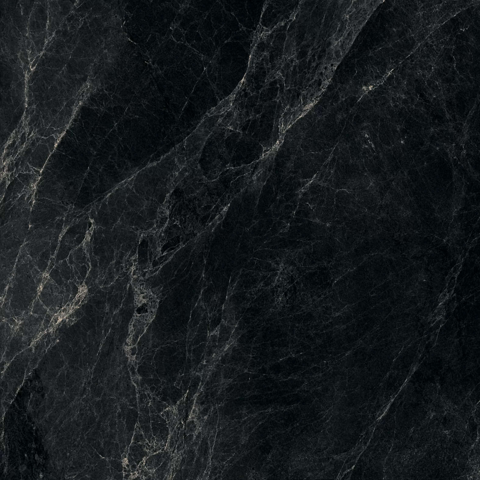 Worner Black sugar lapp. 60x60 Bluezone фото 4