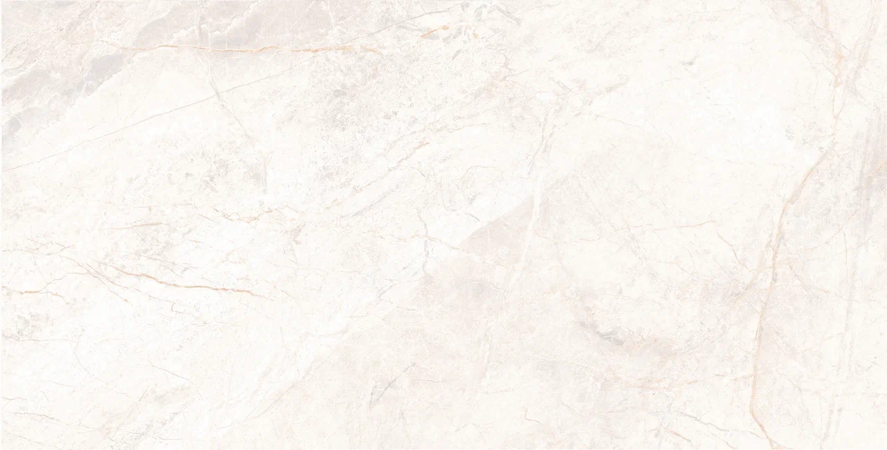 Manavgat Bone Polished 60x120 Usak Seramik
