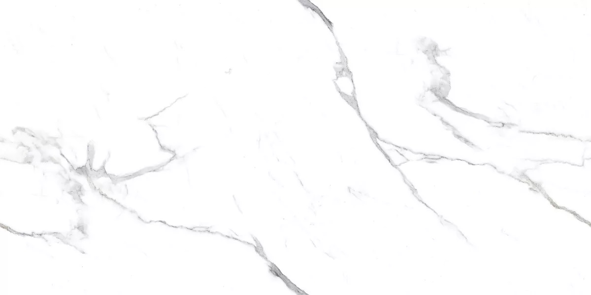 Platinum White Glossy 60x120 Art Ceramic