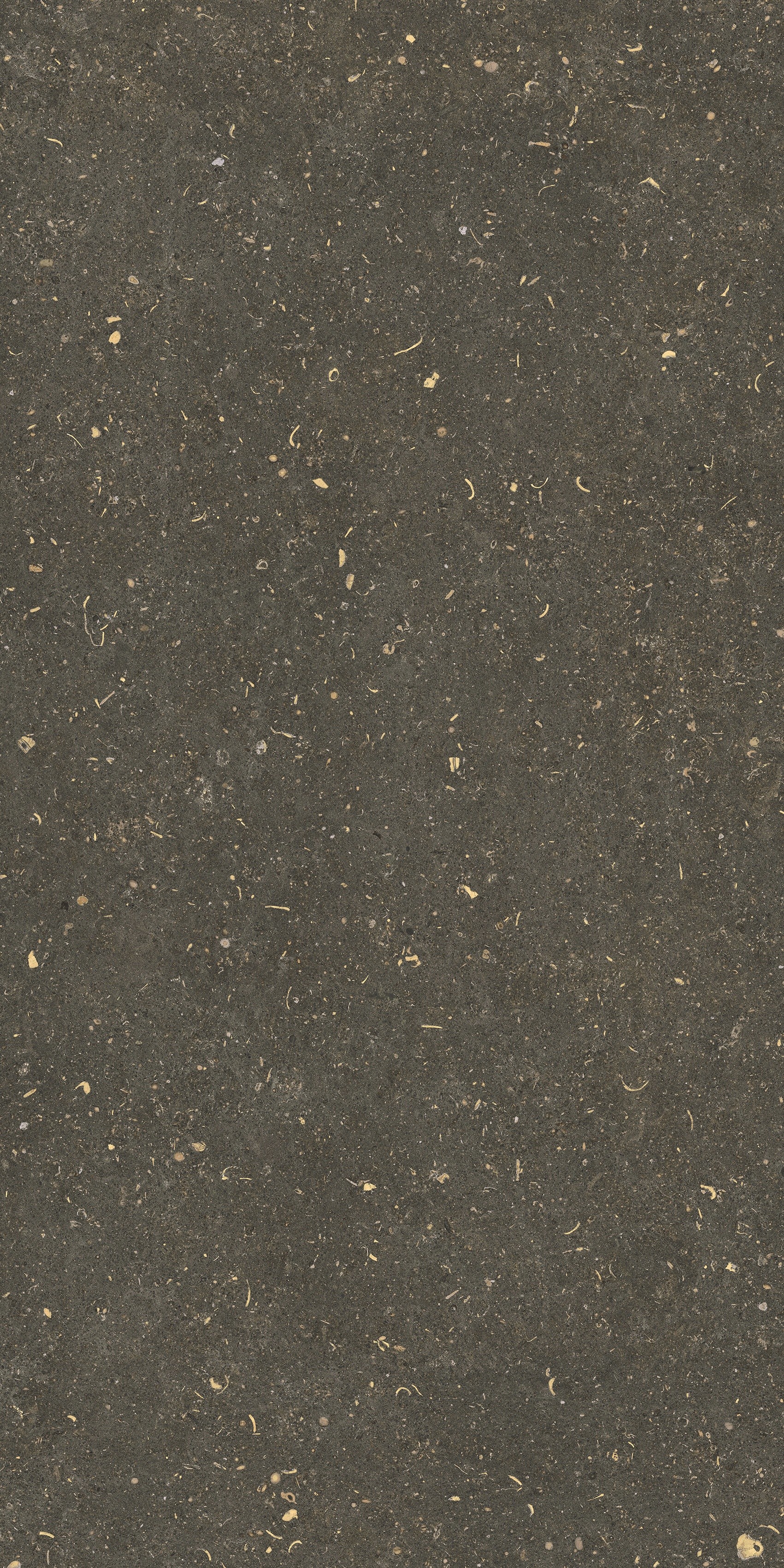 785483 Rinascenza Arena Platino Matte 60x120 Casa Dolce Casa фото 9