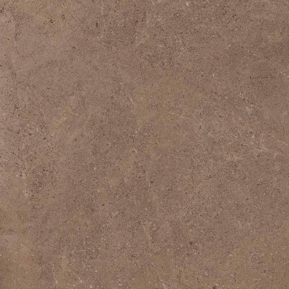 GO02 Gobi Dark Beige Неполированный Рект. 60x60x9 Estima фото 2