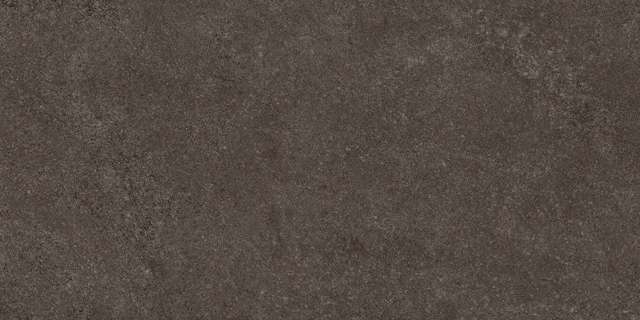 Thar Wood 60x120 Colortile