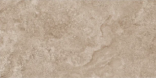 Mystical Charm Camel Relief Matt 60x120 Staro