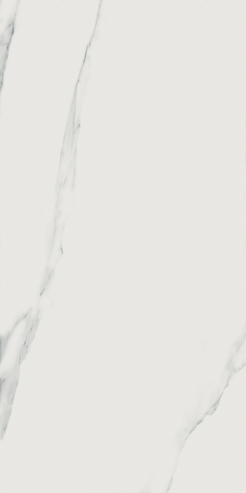 Bianco Statuario JW01 Luc SQ 60x119.7 Mirage