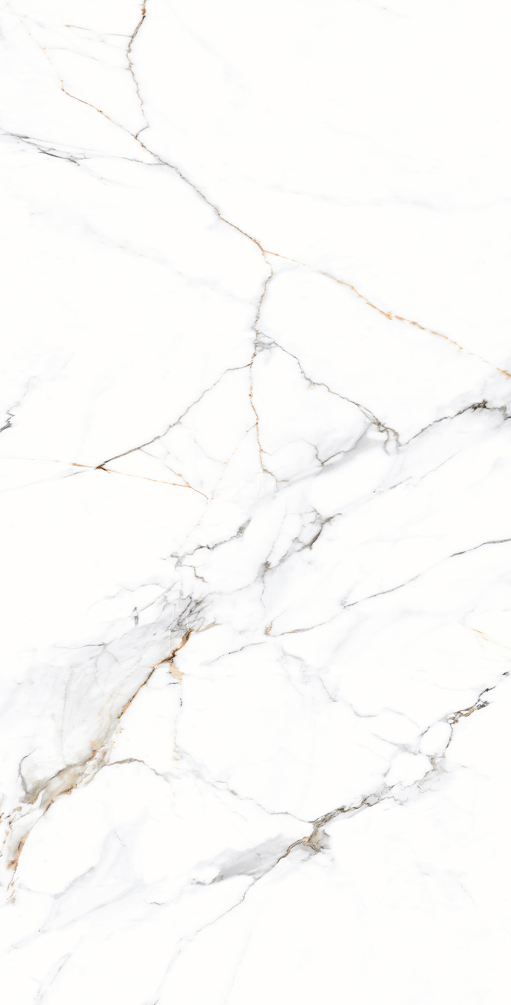 CZ-CR03-B Galaxy Statuario Carving 80x160 Creanza
