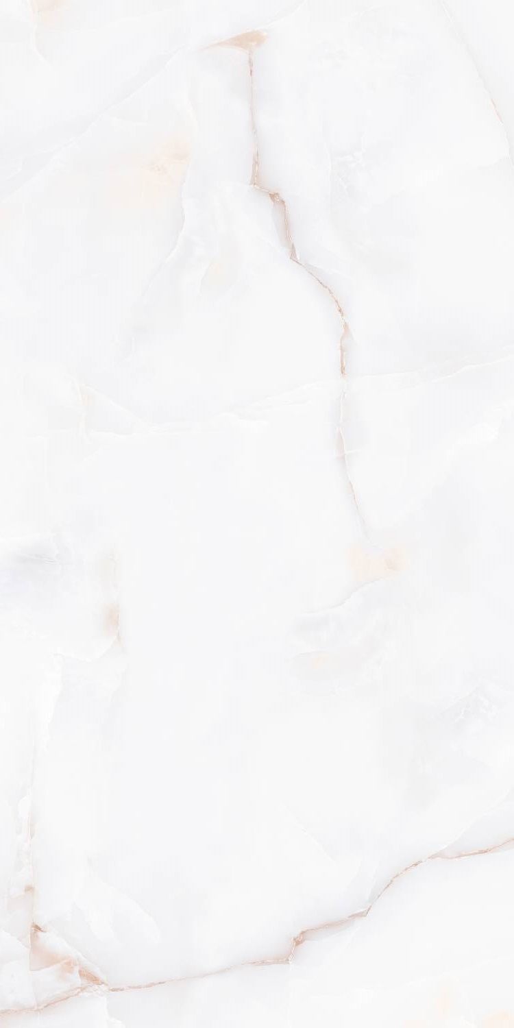 ZA-D12607 Glazed PR 1200x600x9 Vizavi