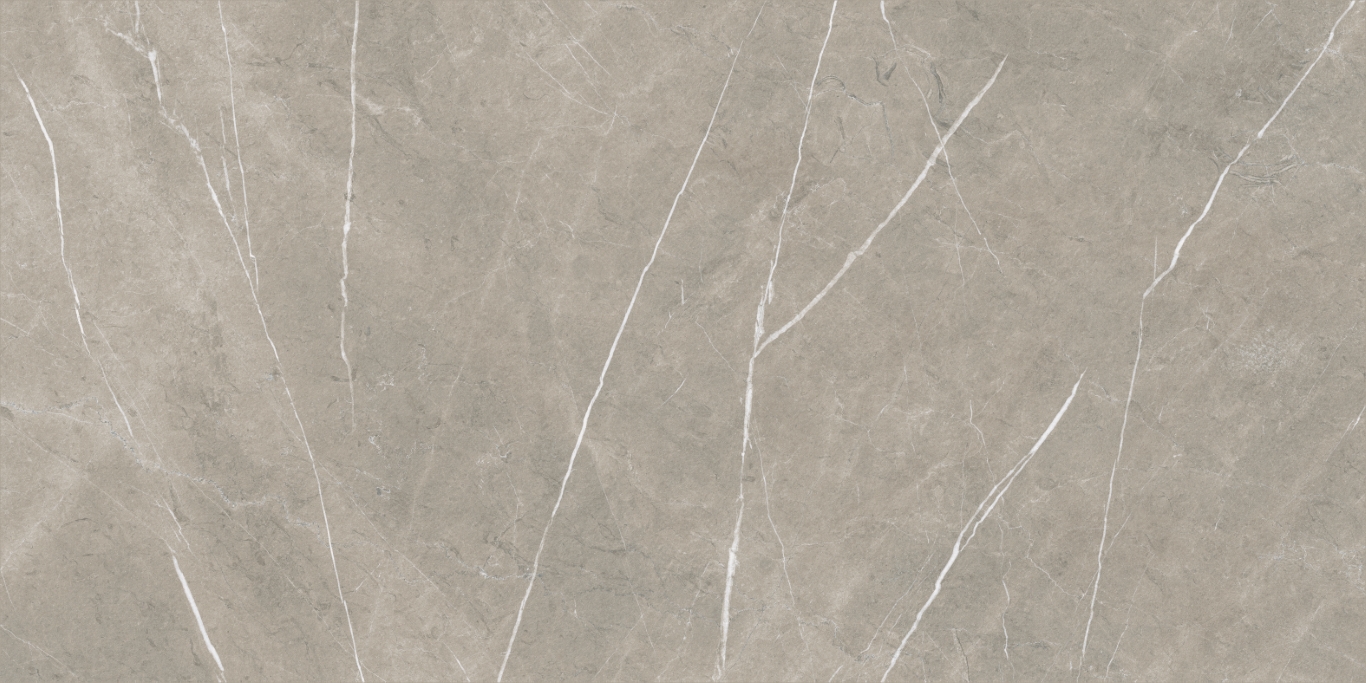 Eternal Taupe Natural 80x160 Baldocer