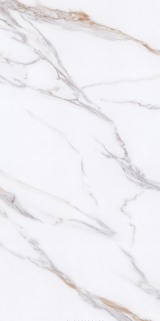 PT12P7059 Bianco Pol 1200х600х9 Protiles