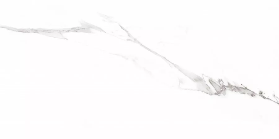 Carrara Rect матовая 60x120 Prime Ceramics