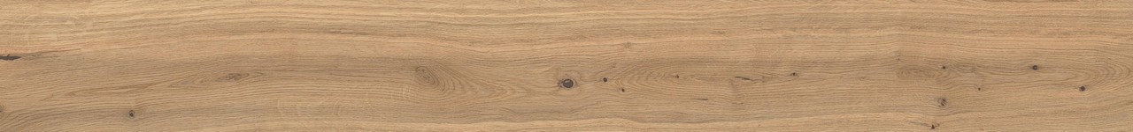 AX5U Log Icon Oak Forest Matte 20x180 Atlas Concorde