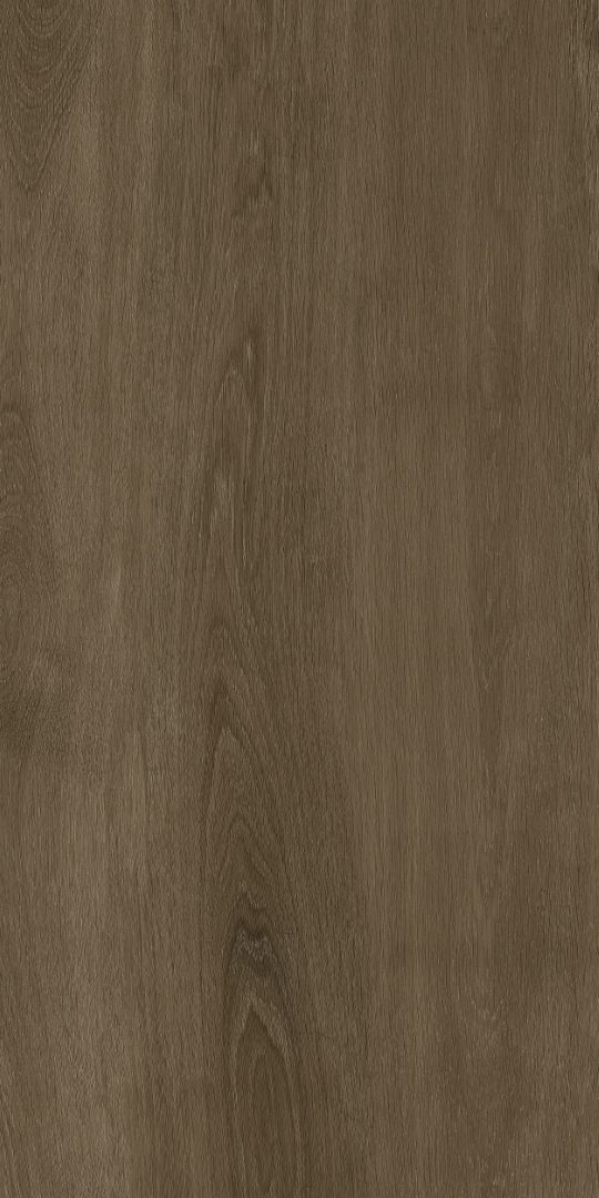 PT12F7040 Albero Grey Matt 1200х600х9 Protiles