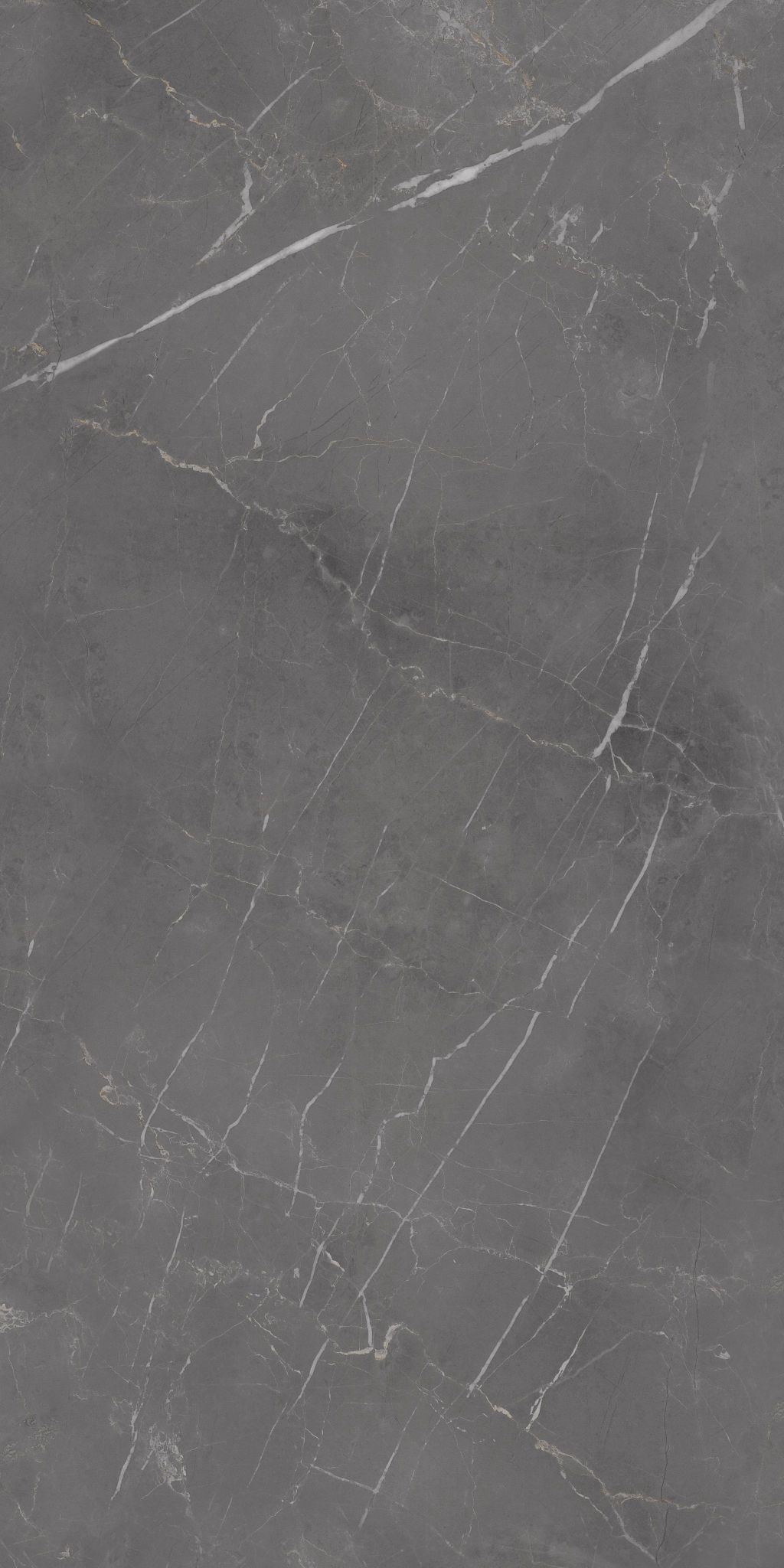 296 Флора дарк 60x120 Eurotile Ceramica фото 2
