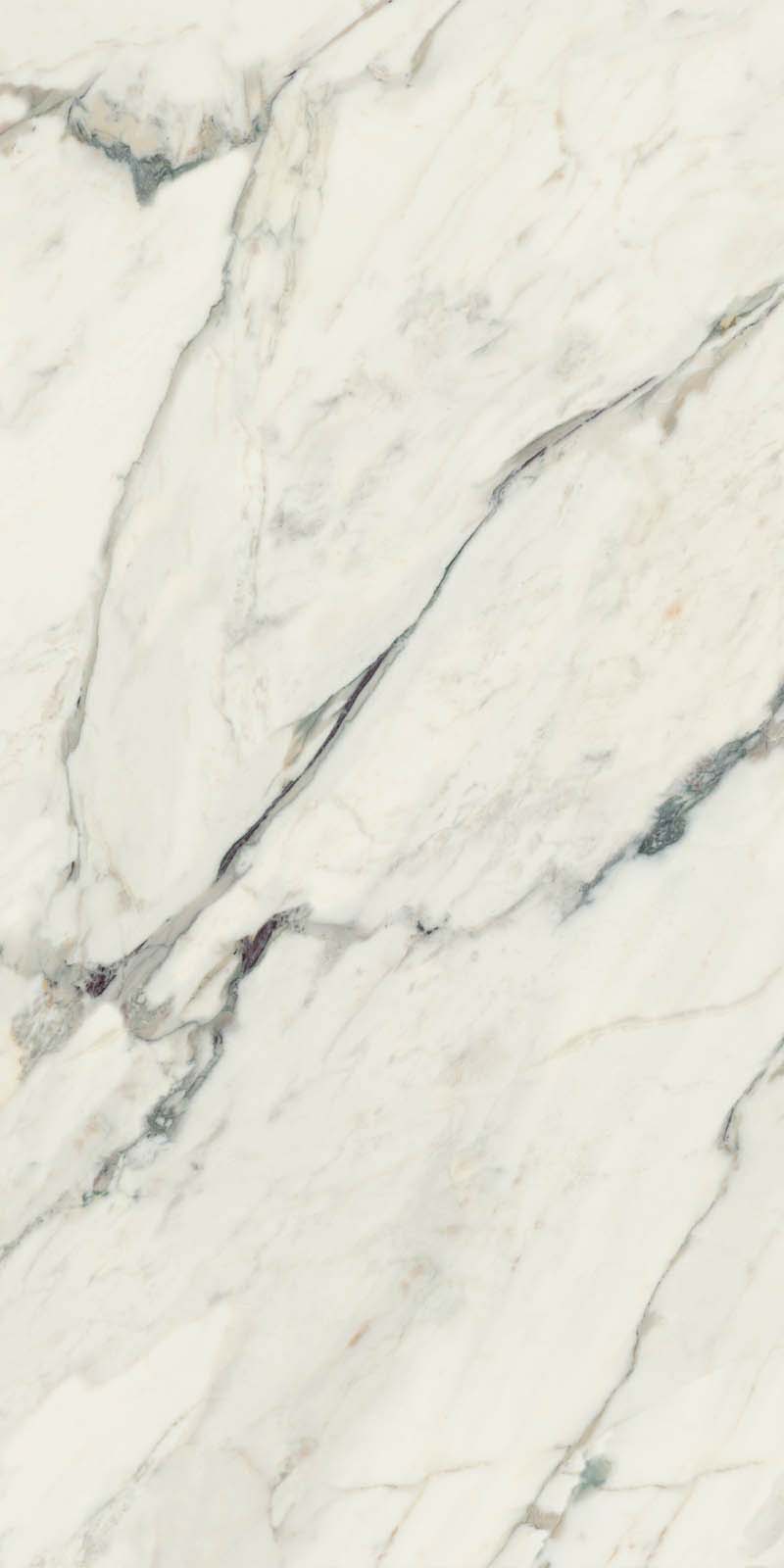 J92958 Canova Breccia Capraia Lap Rett 60x120 RHS (Rondine) Ceramiche