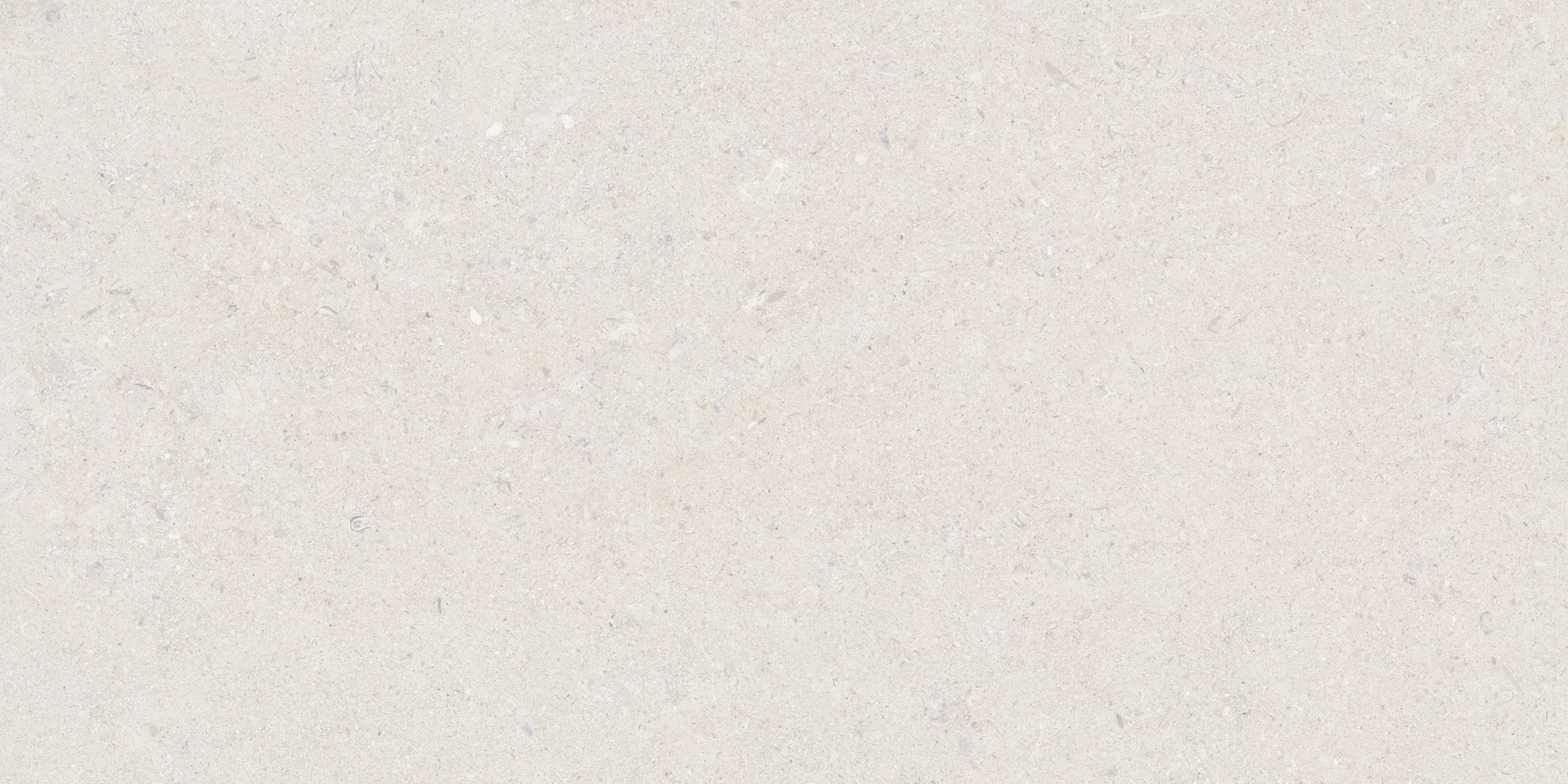Calcare White 60x120 TAU Ceramica фото 3
