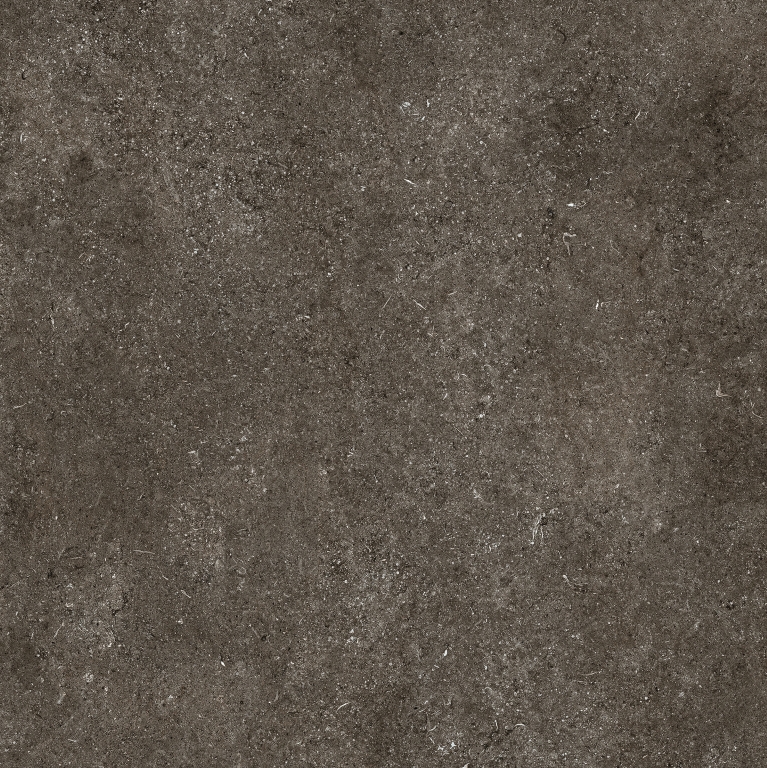 768560 Sensi Brown Fossil Nat Ret 6mm 120x120 Casa Dolce Casa