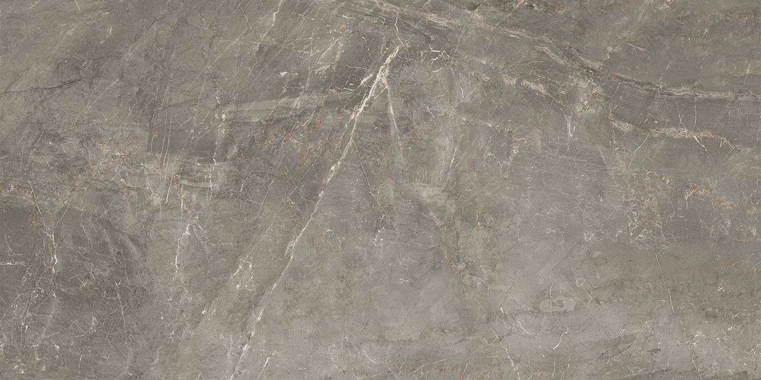 83346 Sybil Silver Levigato 60x120 Cerdomus фото 10