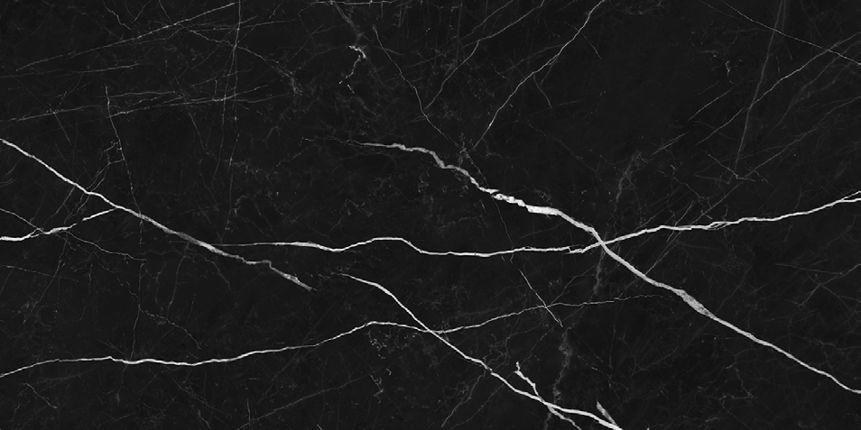 NR209 Ross Black 60x120 PrimaVera