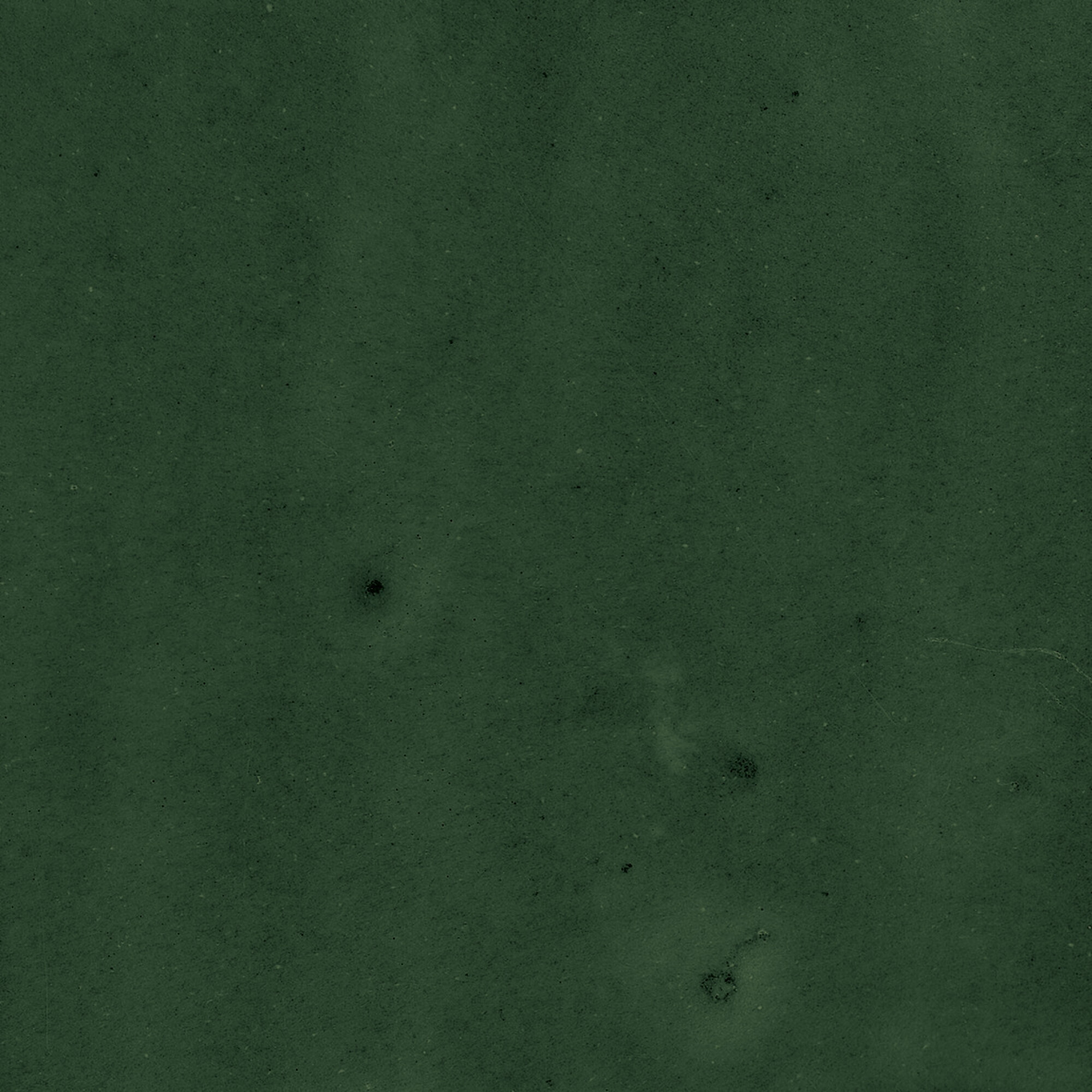 43289 Samira Green 10x10 Harmony фото 44