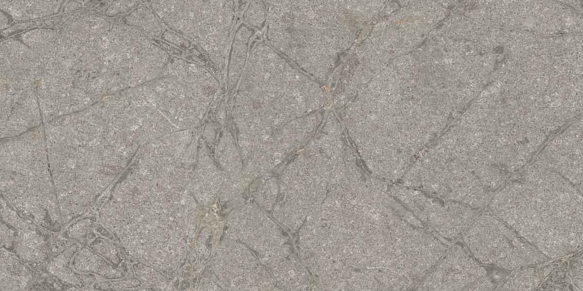 PF60011858 Supreme Memories Grey Soapstone Ant Ret 60x120 Flaviker