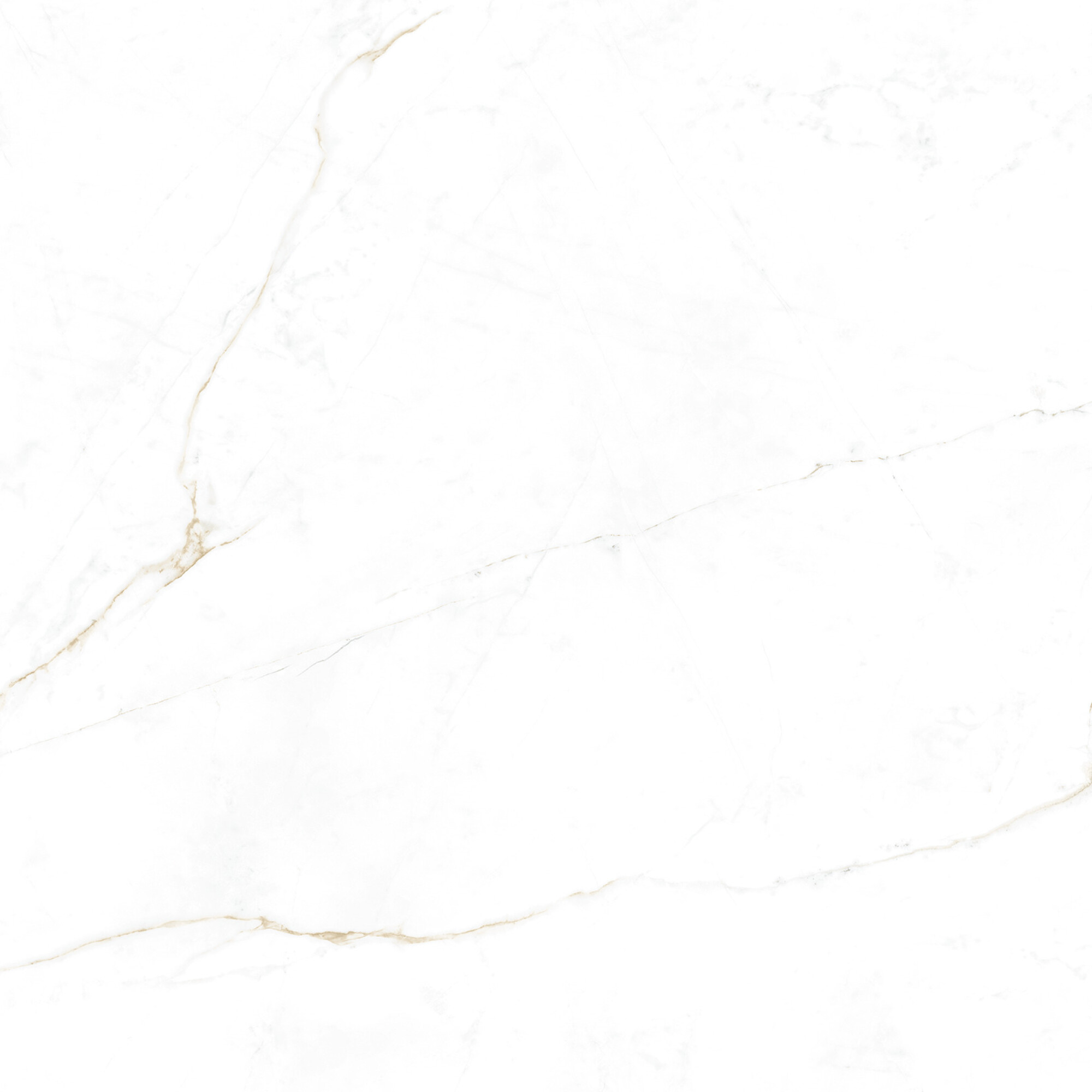 41145 Dual White SP/100x100x0,8/R 100x100 Peronda