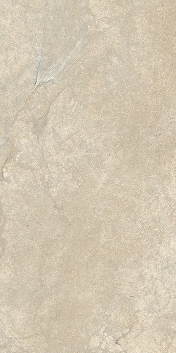 LGXAL25 Anthology 02 Desert Nat. RT 9.5mm 60x120 Lea Ceramiche